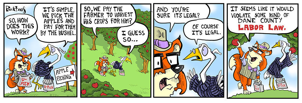 Apple pickin'